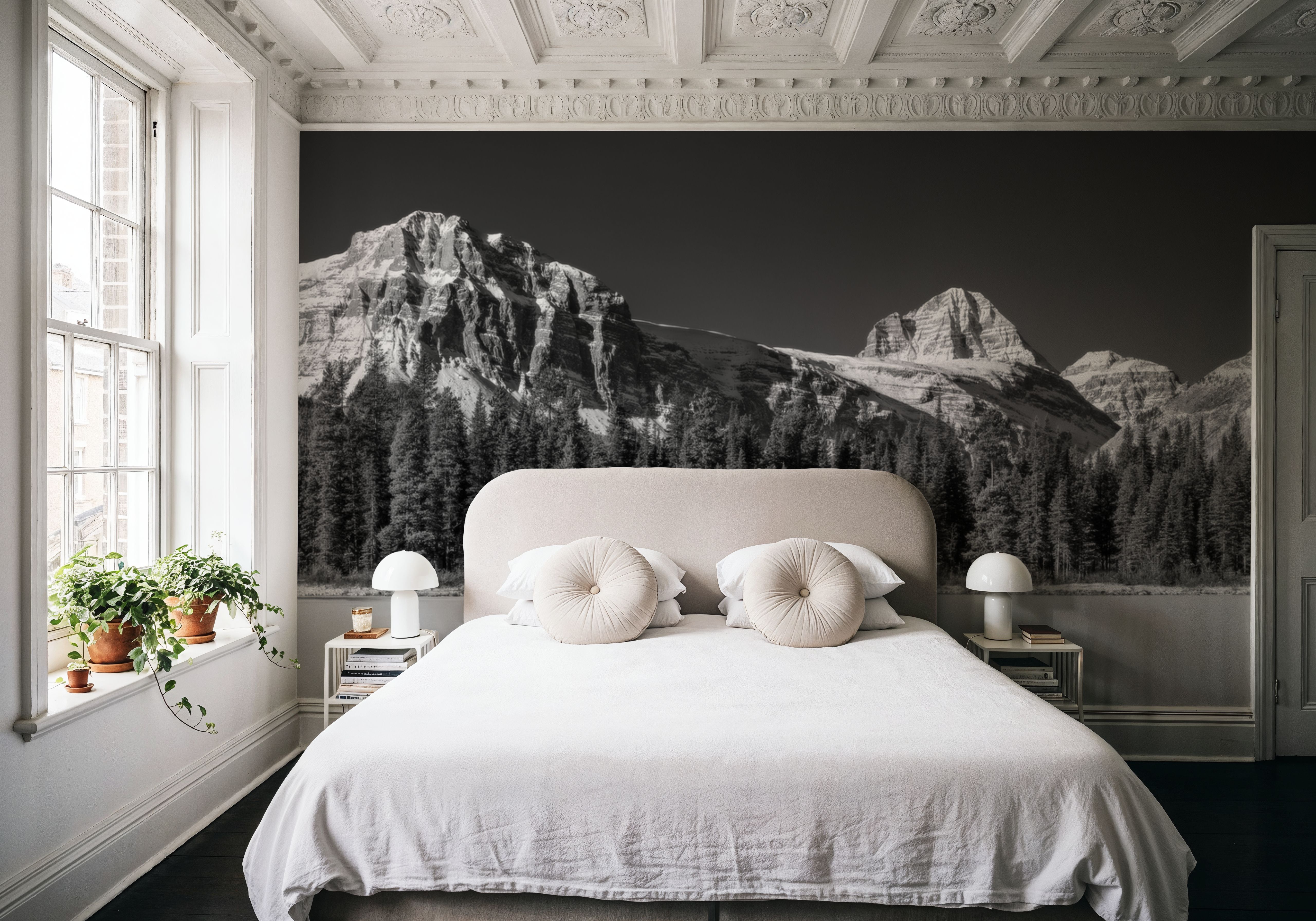 Buller Pond BW, Tapeten