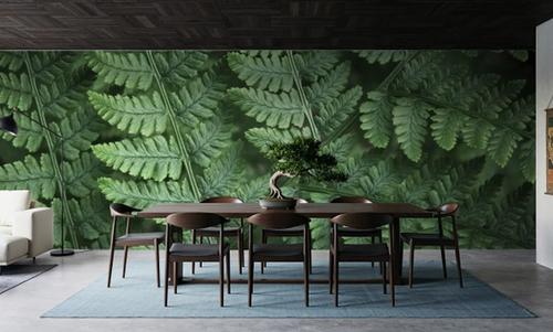 Fern Layers