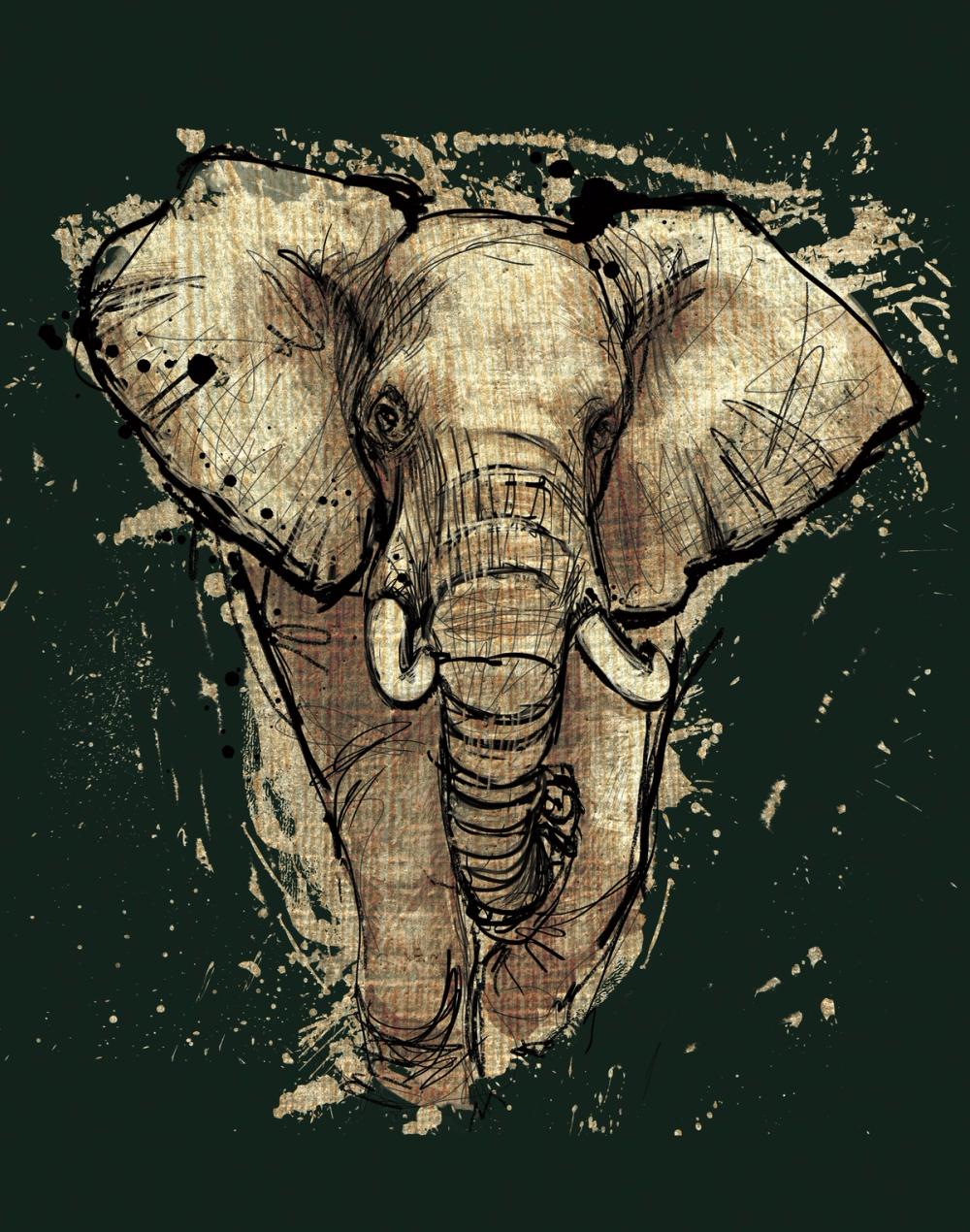 Bright Africa I on Green