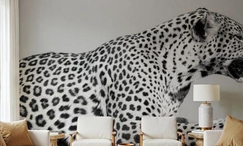 Regal Leopard
