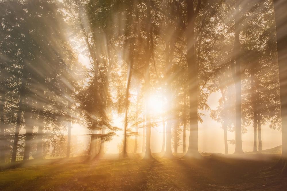 Blinded by The Light