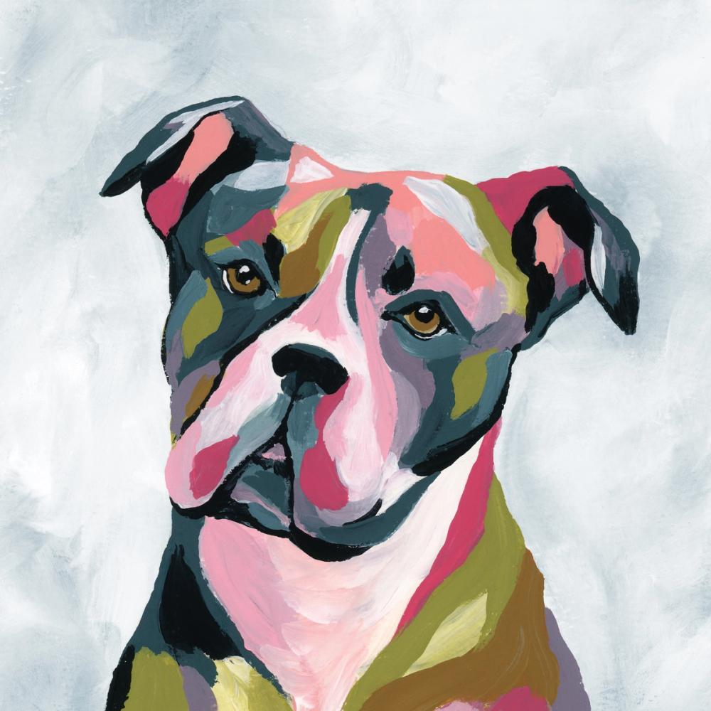 Abstract Pitbull