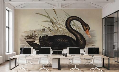 Black Swan Vintage Book Aged