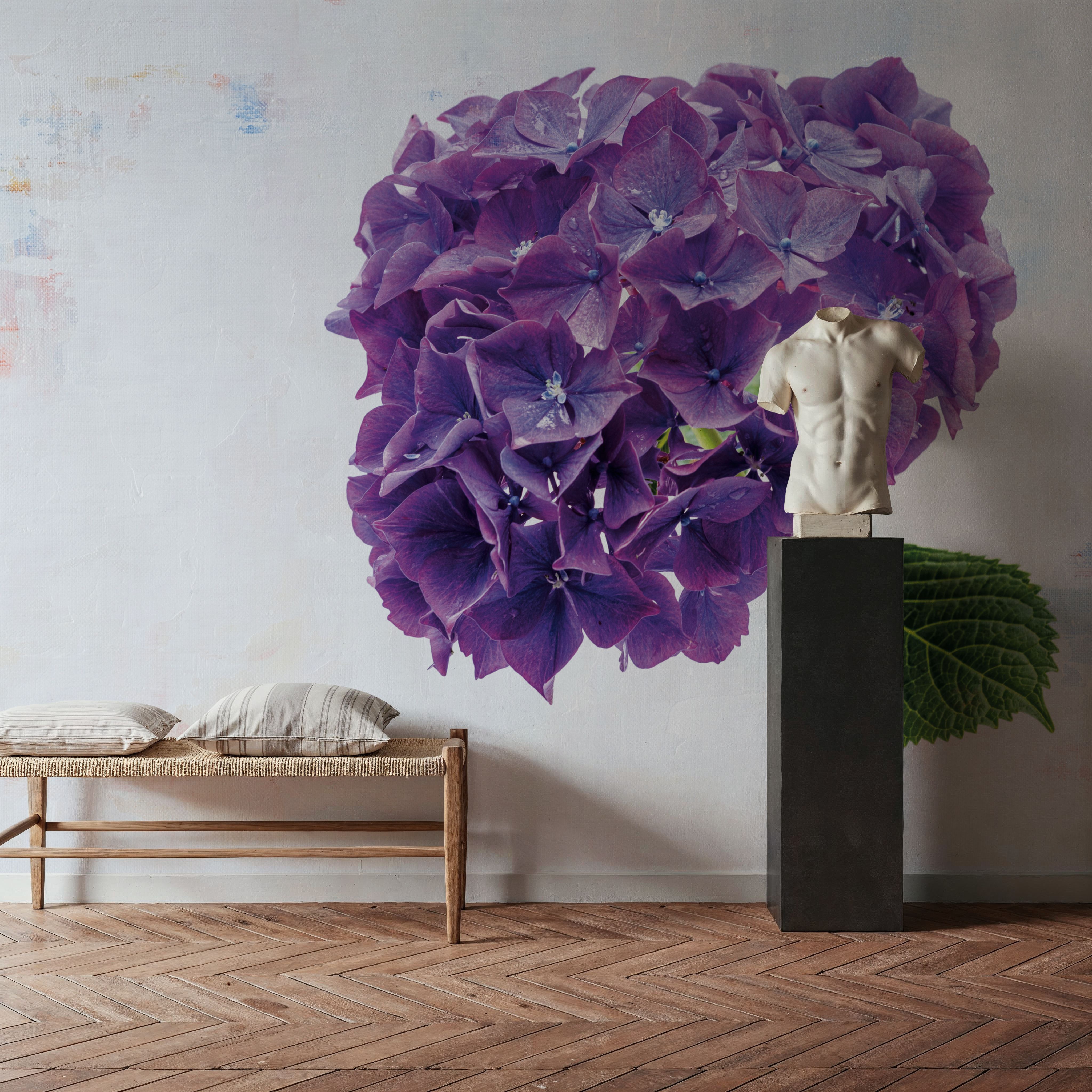 Bright Purple Hydrangea