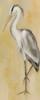 Vintage Heron II