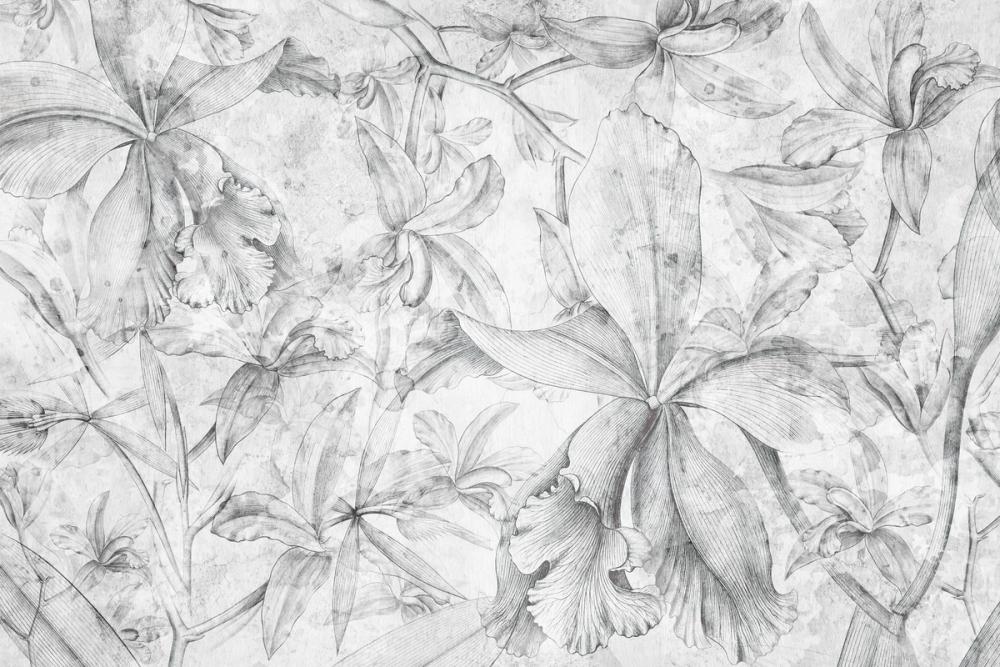 Orchids Sketch