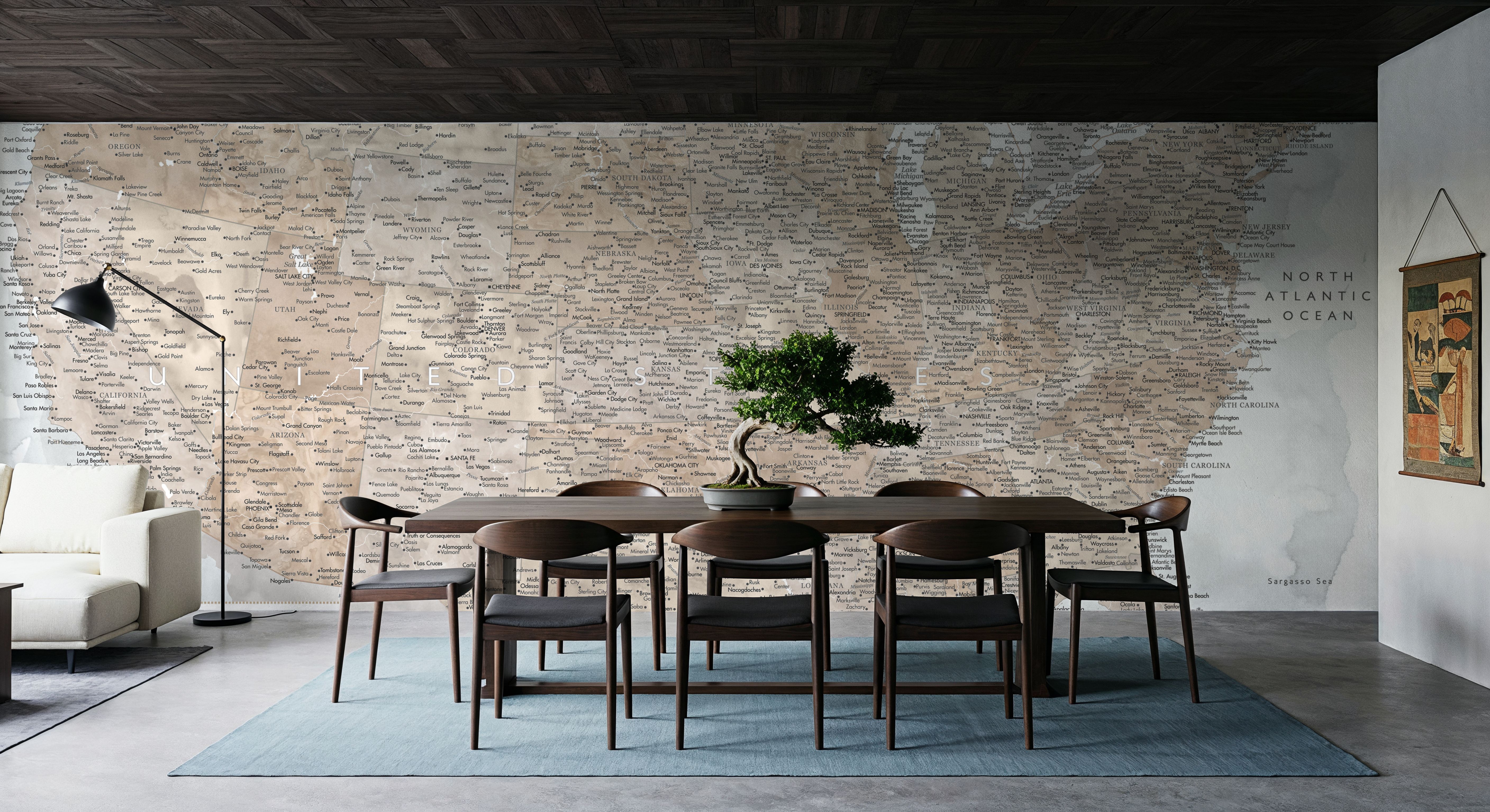 US Map Detailed - Calista