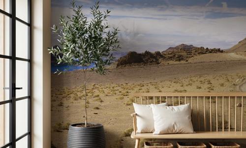 Desert Lake Journey