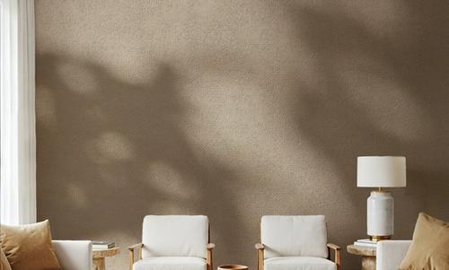Desert Shadow