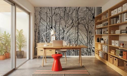 Silver Birch Symphony