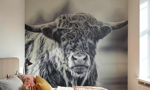 Highland Cow Pastures II