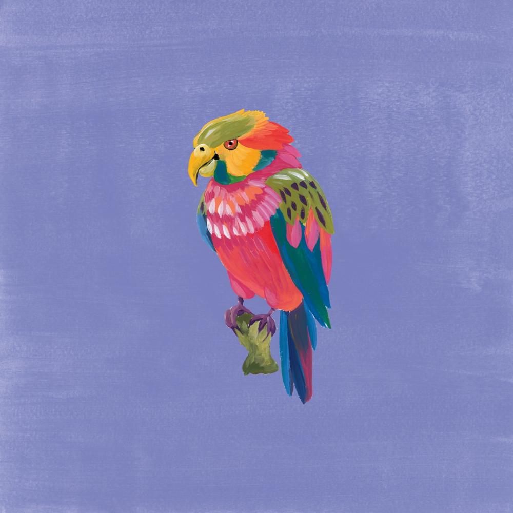 Birds of Paradise II