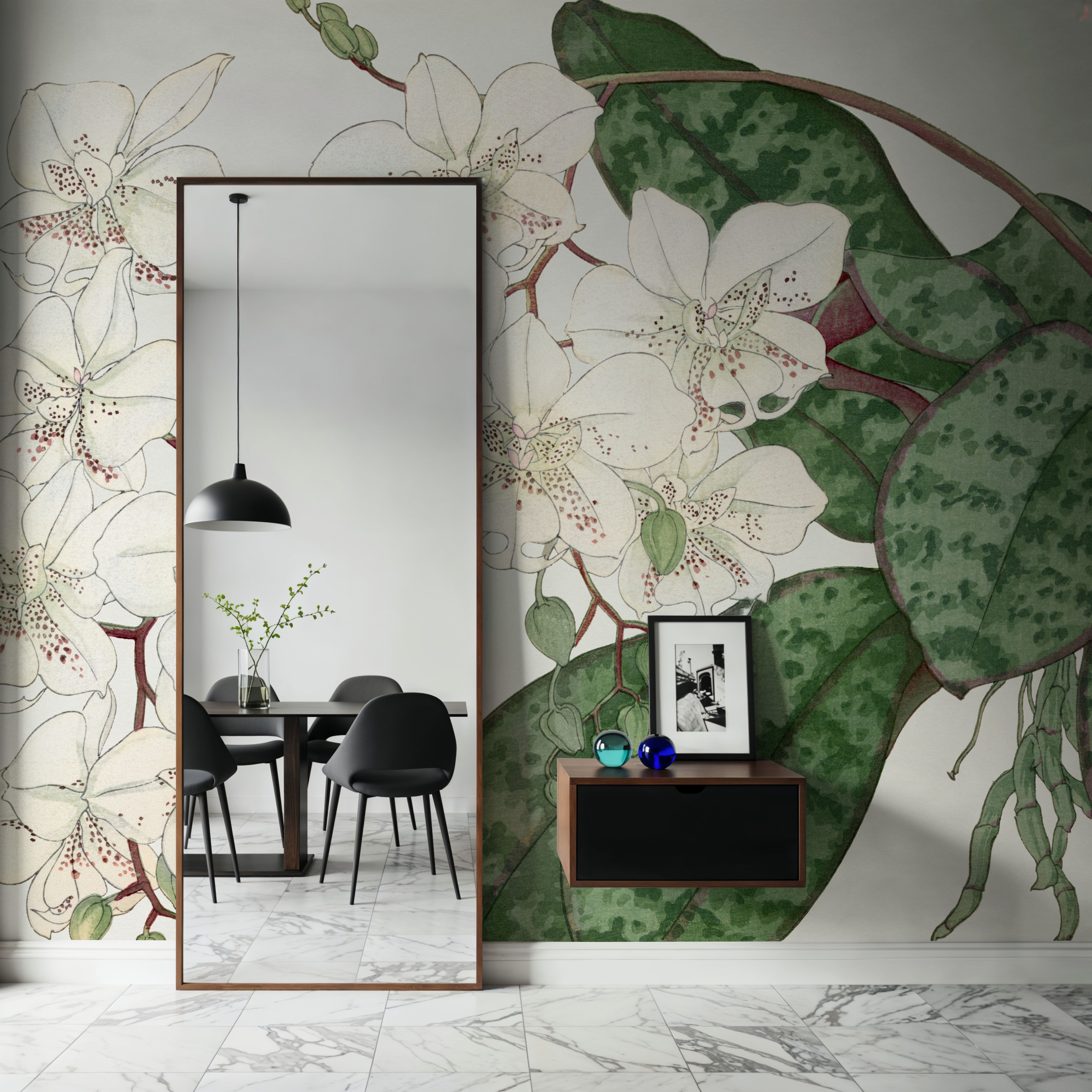 Tanigami Moth Orchid