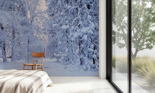 Snow-Laden Forest