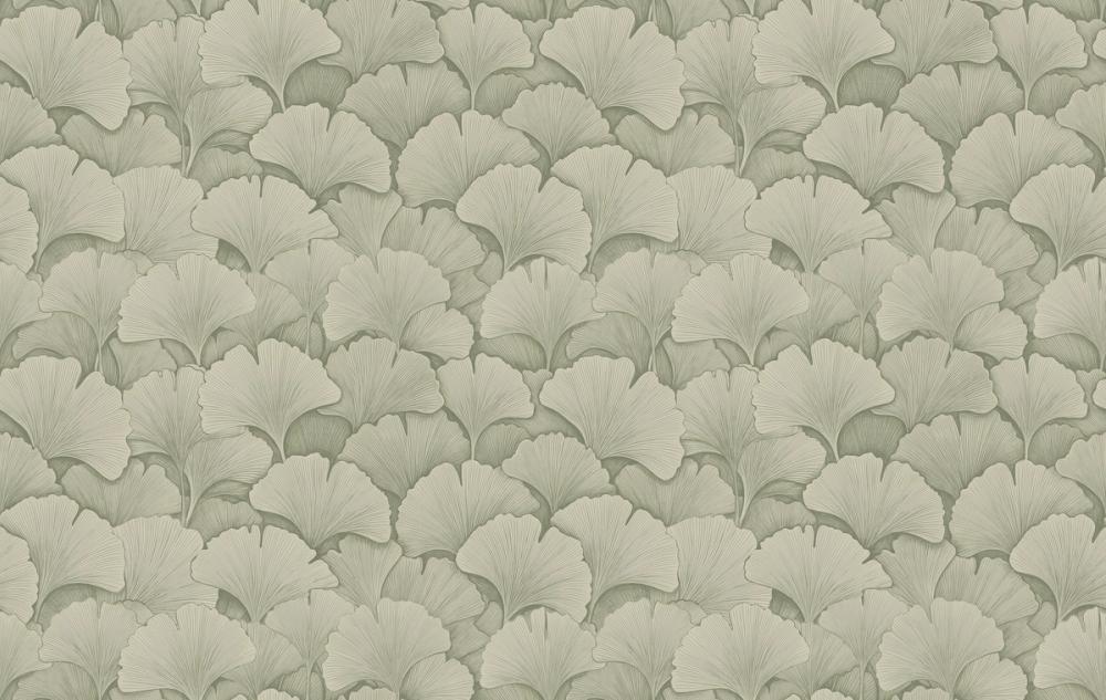 Ginkgo Folia, Olive Haze