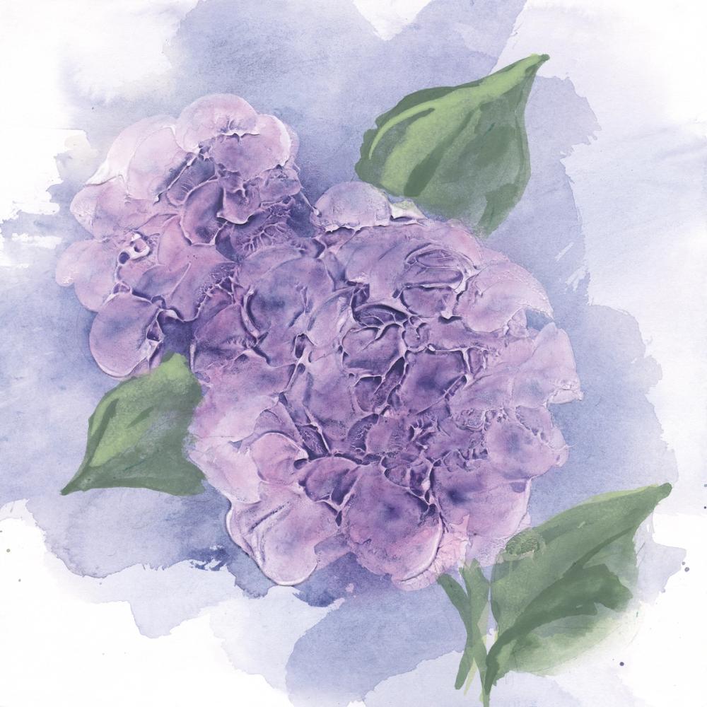 Dimensional Hydrangea II