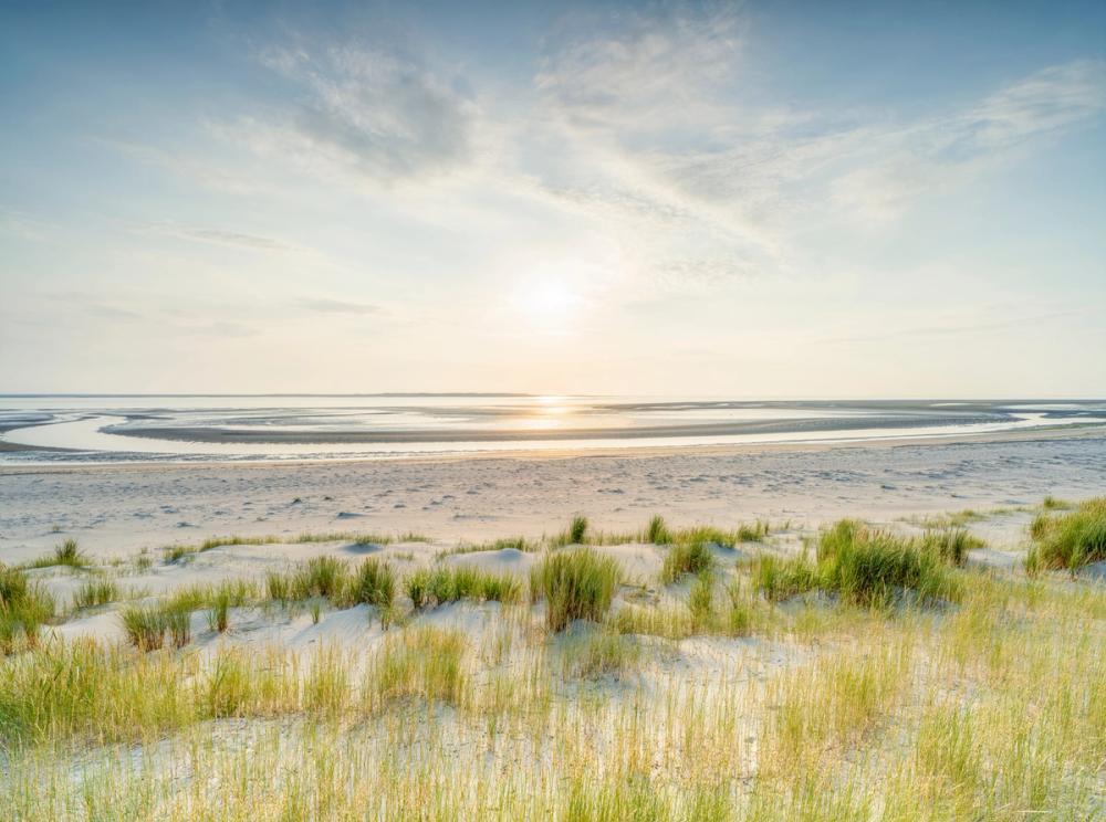 Dune Beach Sunset