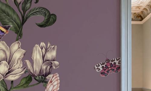 Magnolia Nectar, Lilac