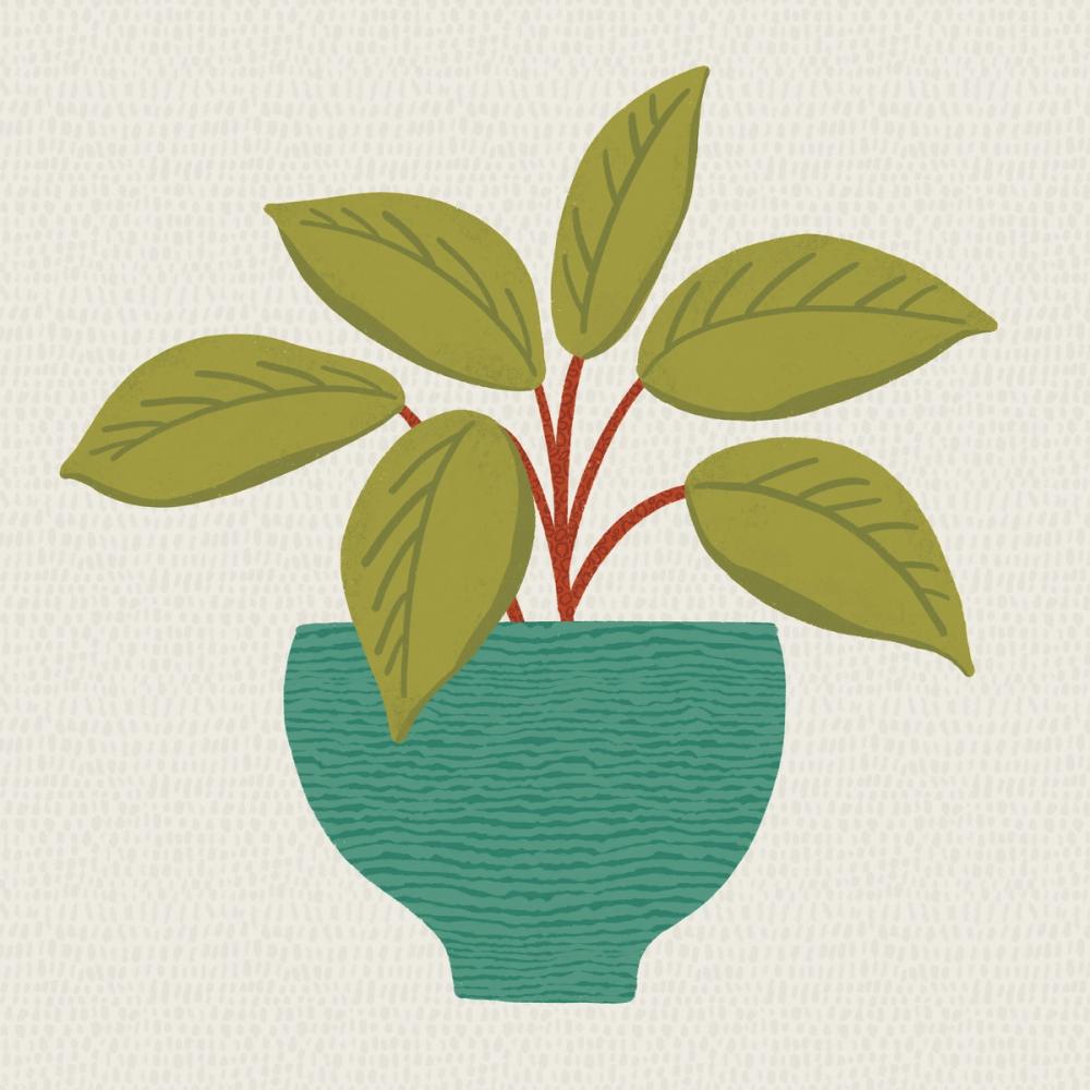Potted Plant VIII