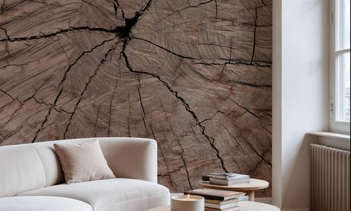 Tree Ring Portrait