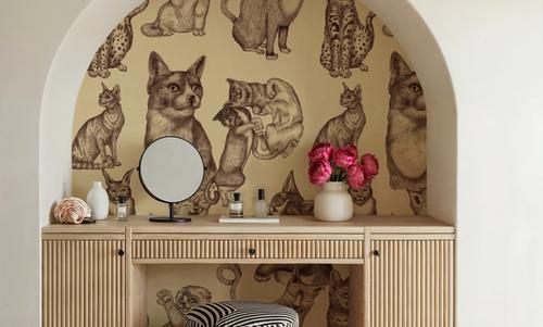 Cat Lounge, Yellow