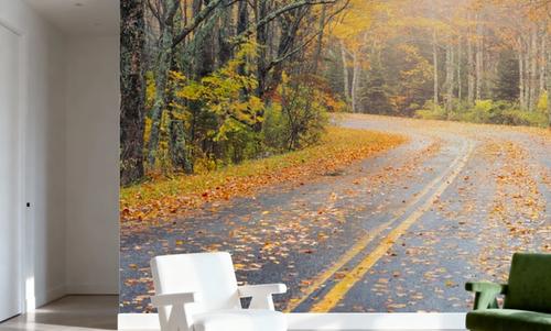 Maine Roads