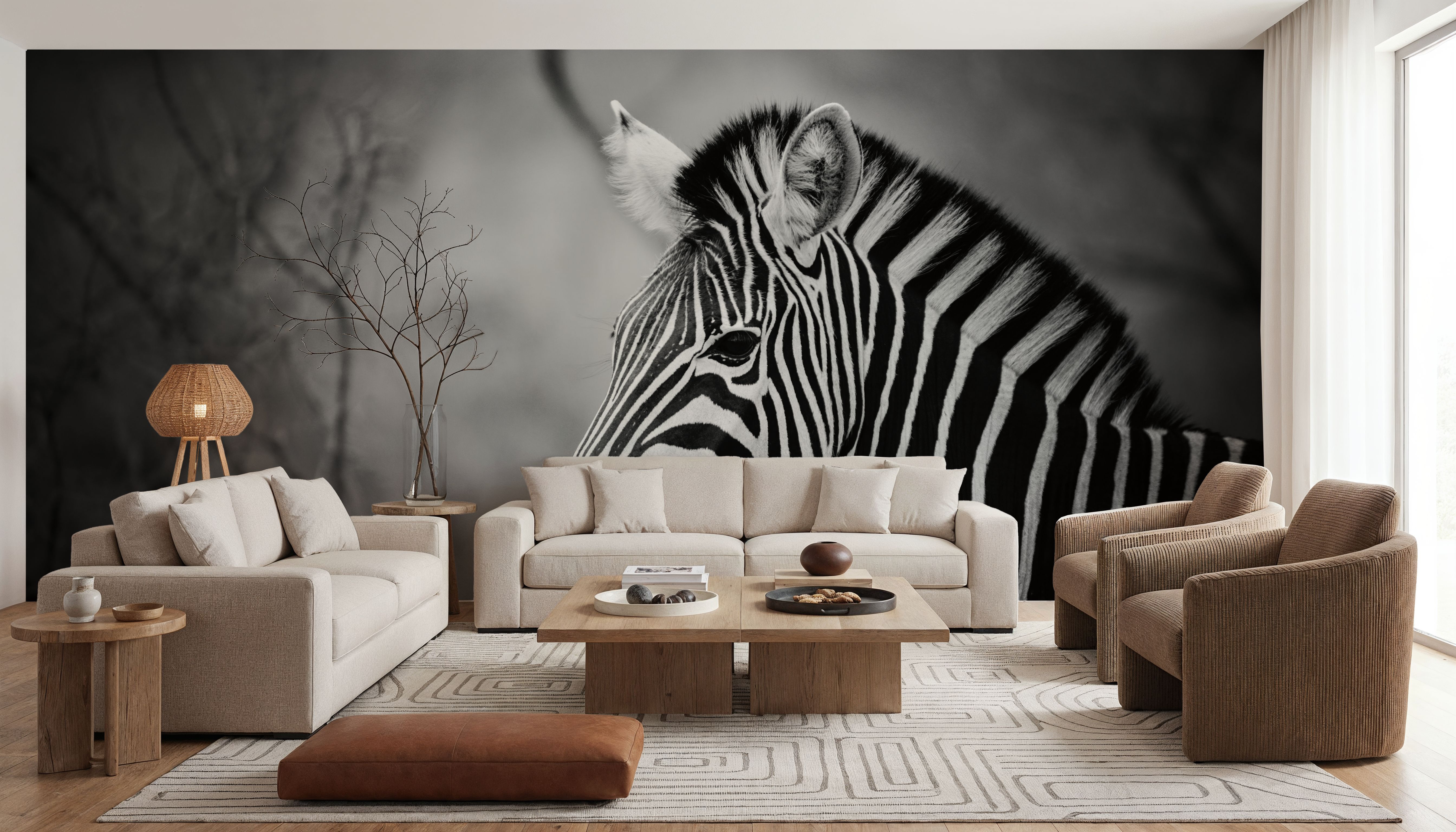 Black and White Zebra