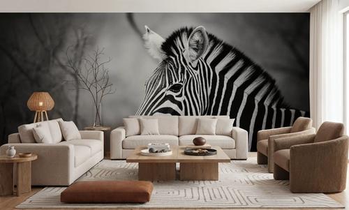 Black and White Zebra