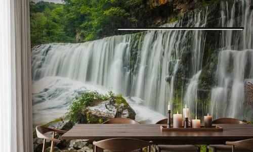 Falling Water