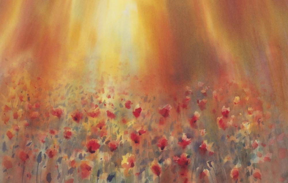 Sunlit Poppy Field