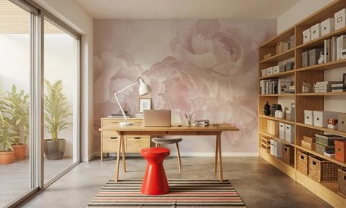 Peony Love
