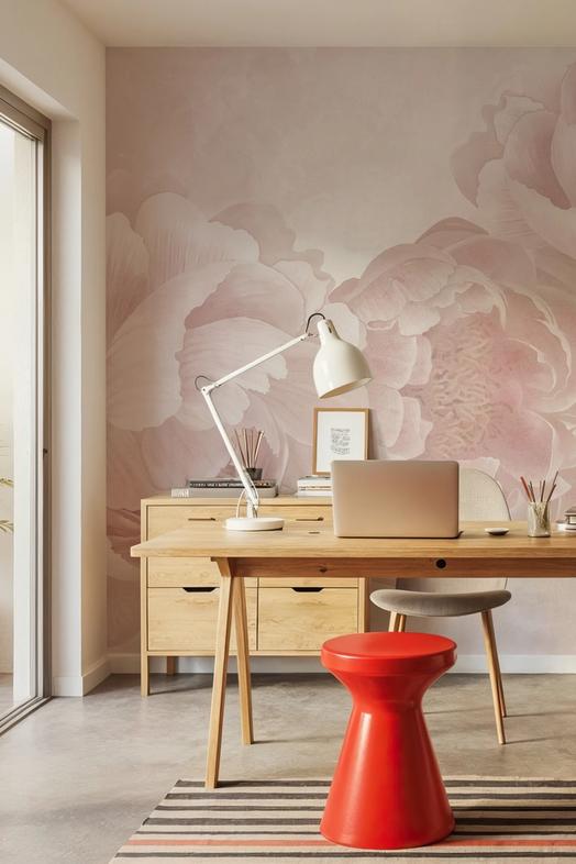 Peony Love
