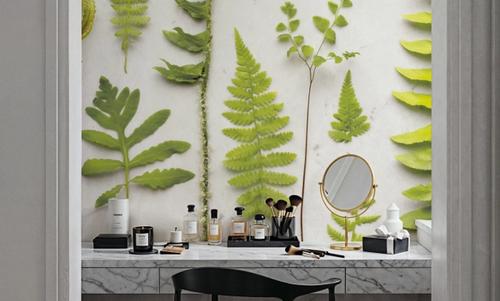 Flat Lay Ferns II