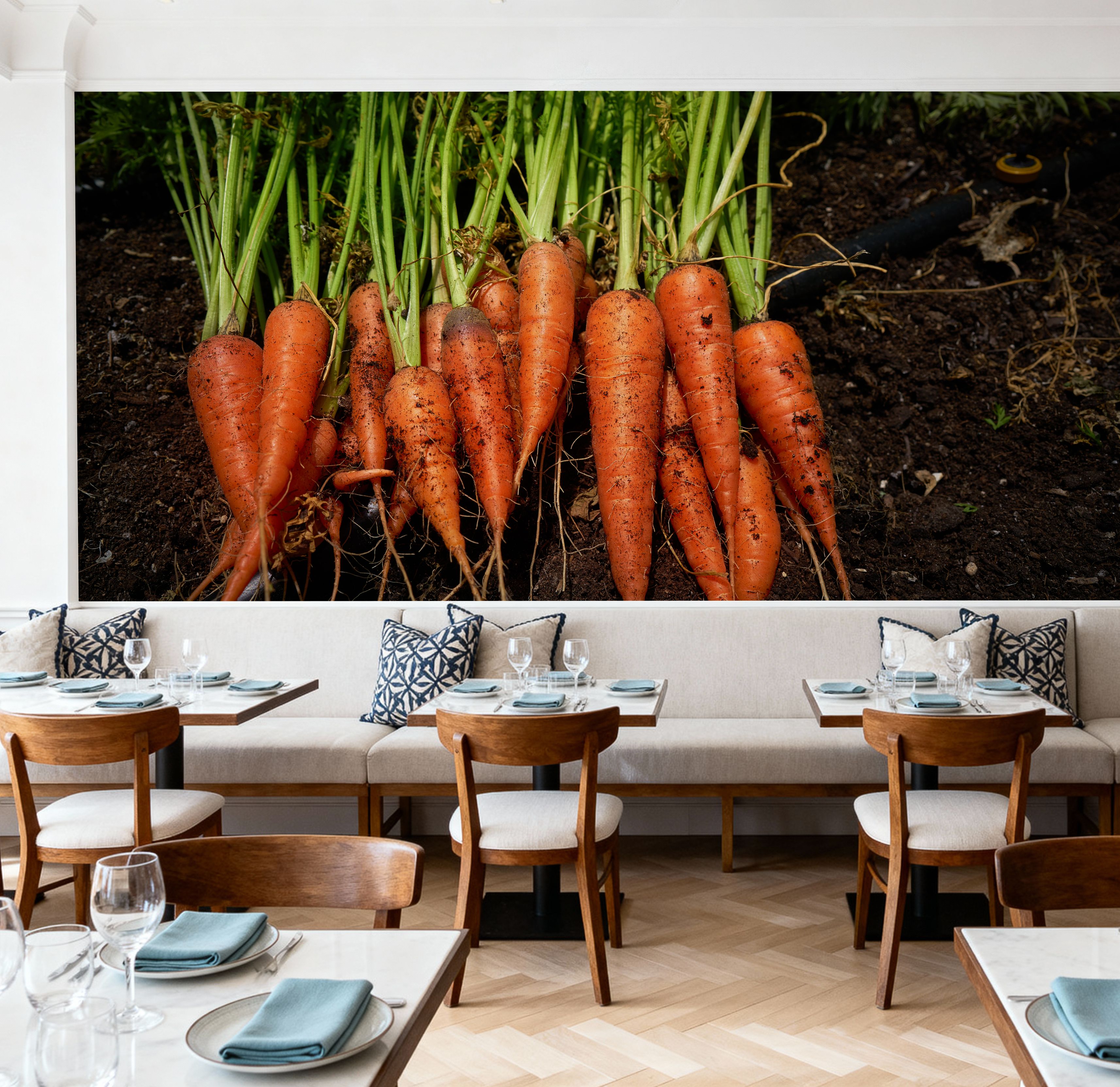 Harvest Carrot