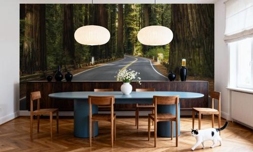 Redwood Odyssey