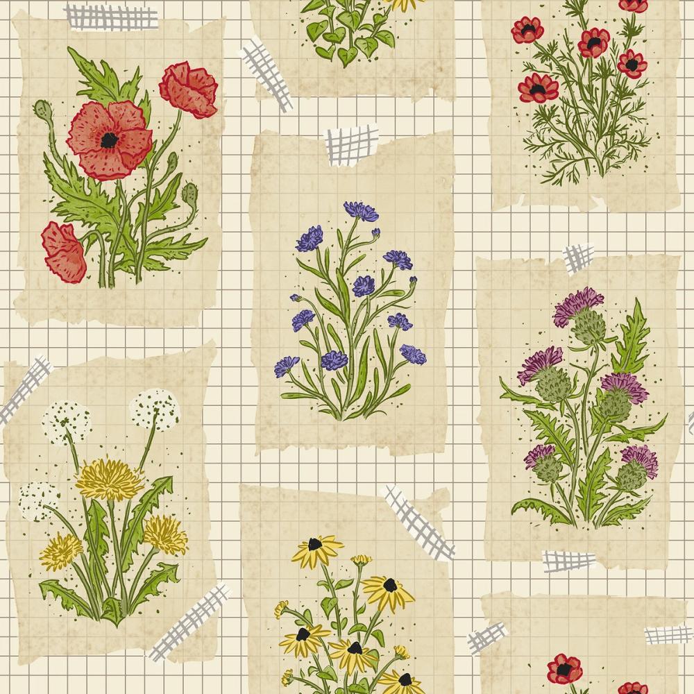 Wildflower Collage, Parchment