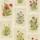 Wildflower Collage, Parchment