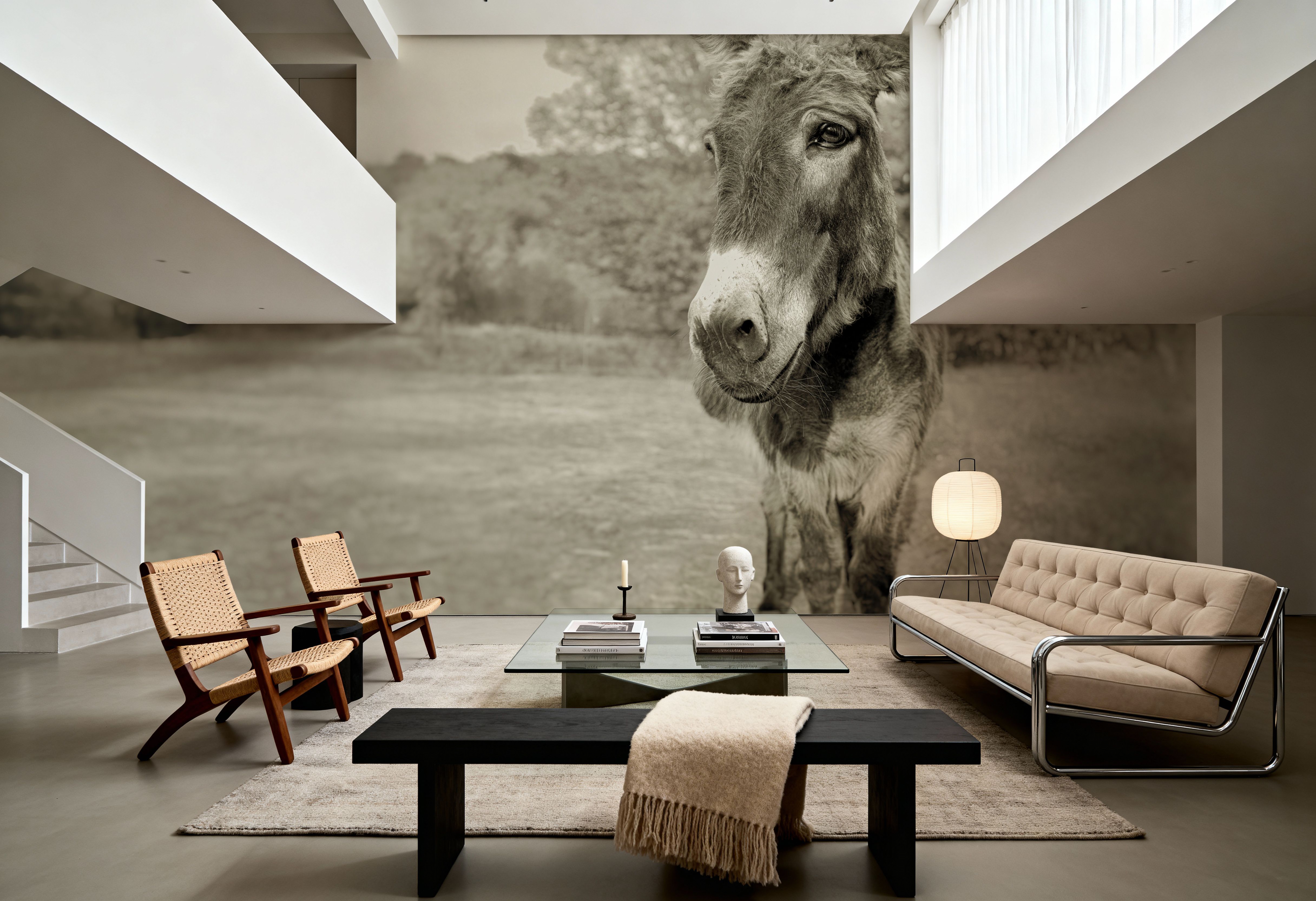 Donkey Tilt Sepia, Wallpaper