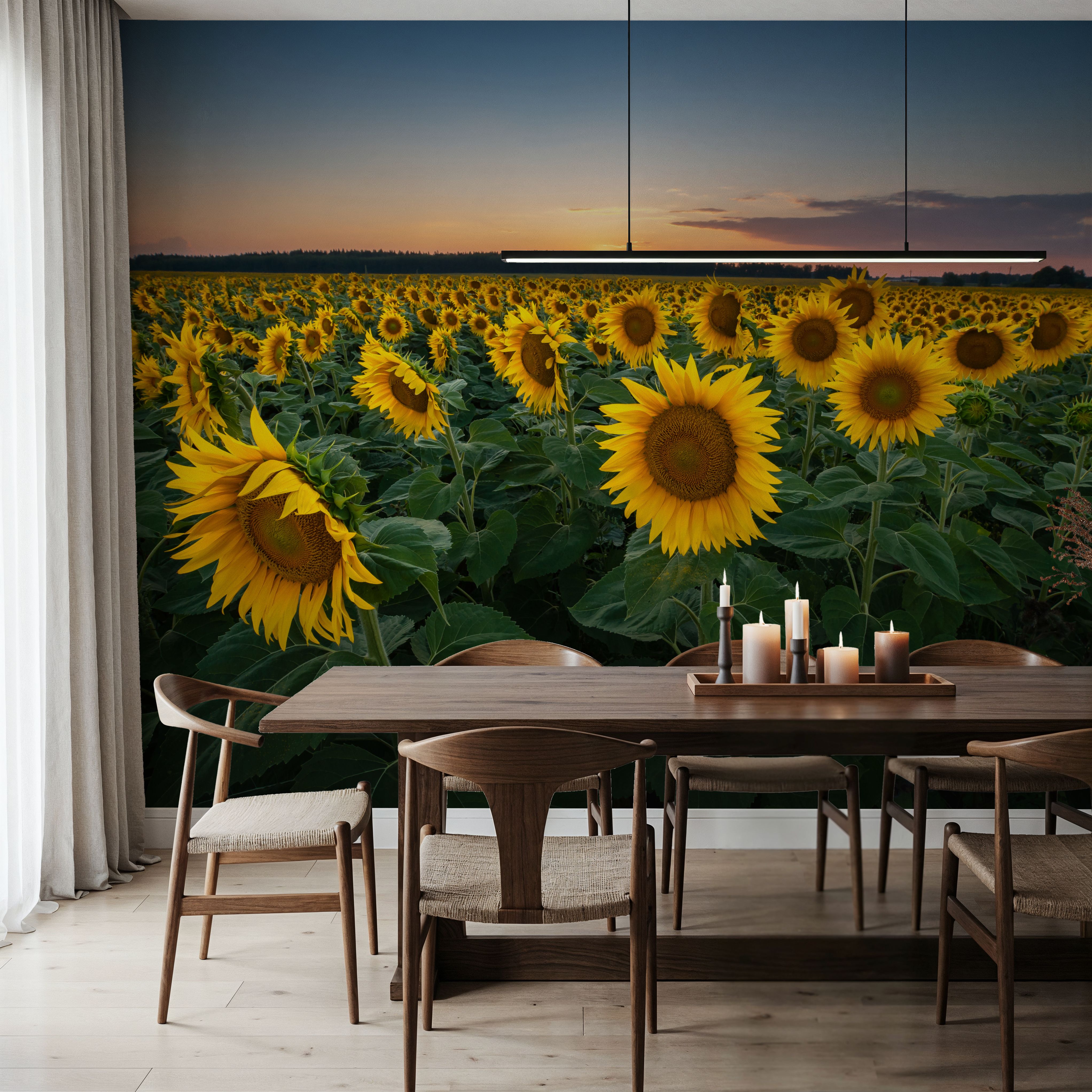 Proud Sunflower Field