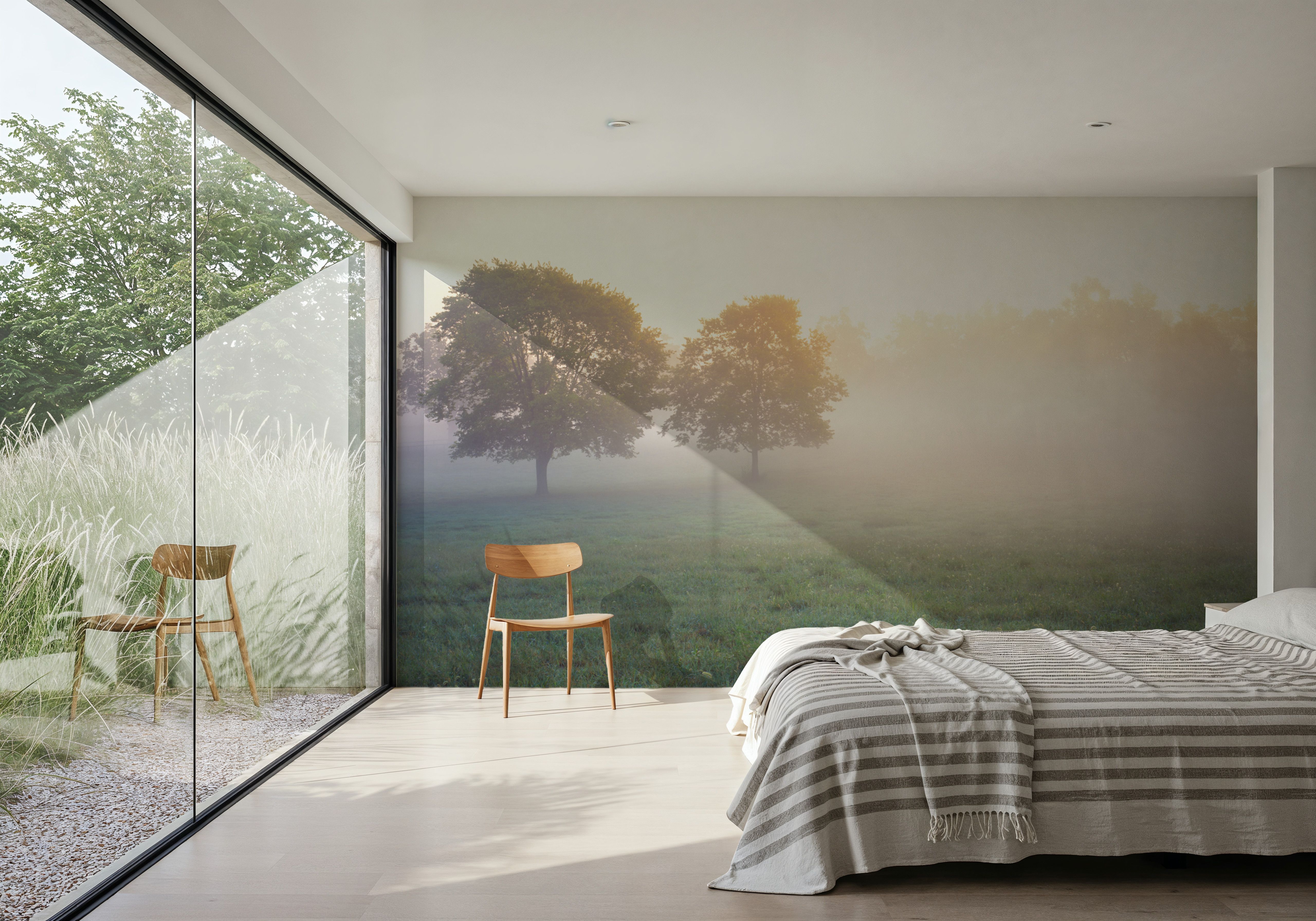 Kentucky Horse Farm Mornings