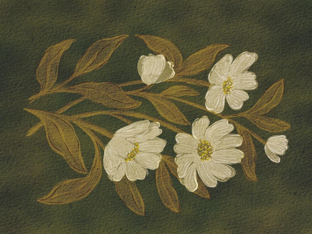 Deep Blooms II