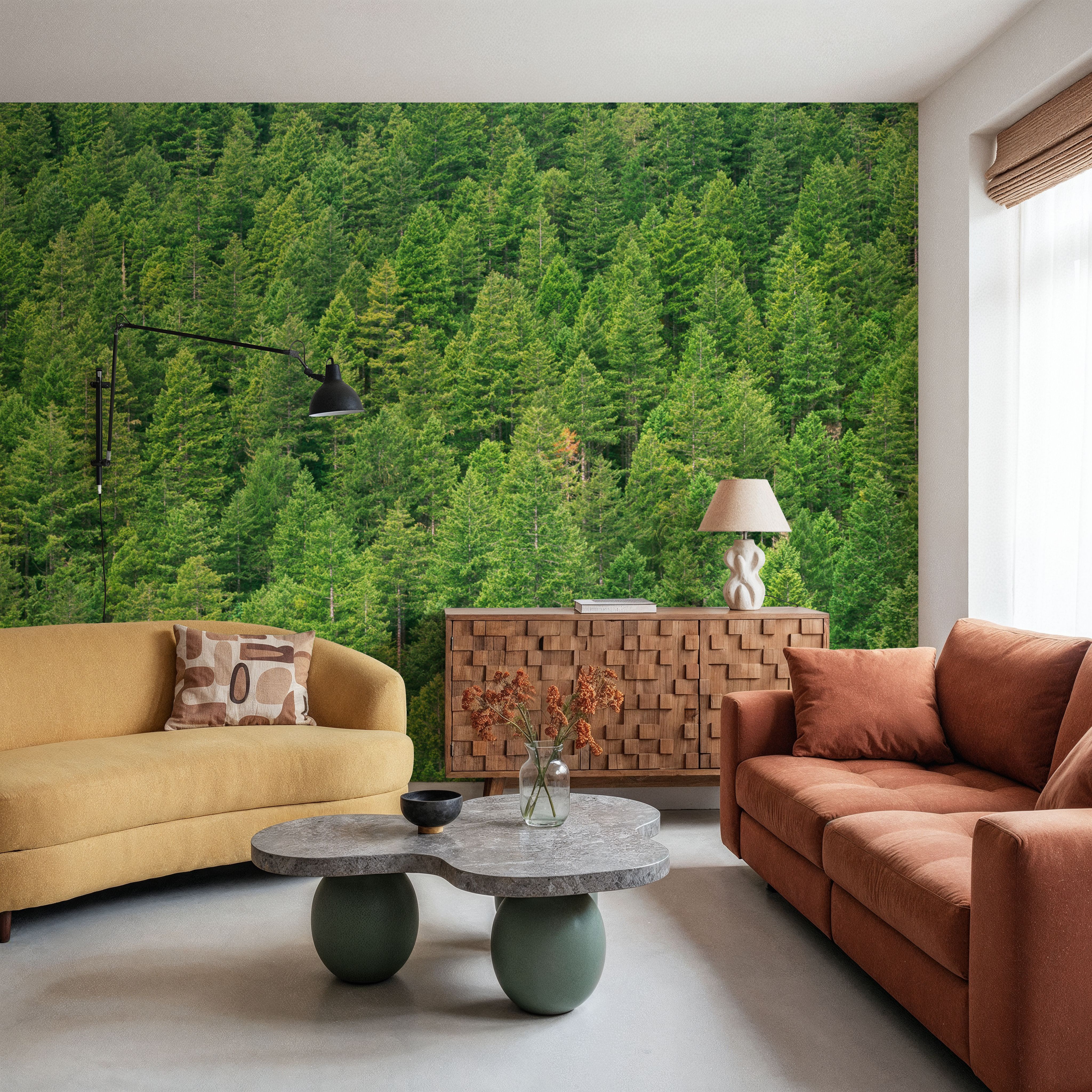 Evergreen Forest in Washintong State