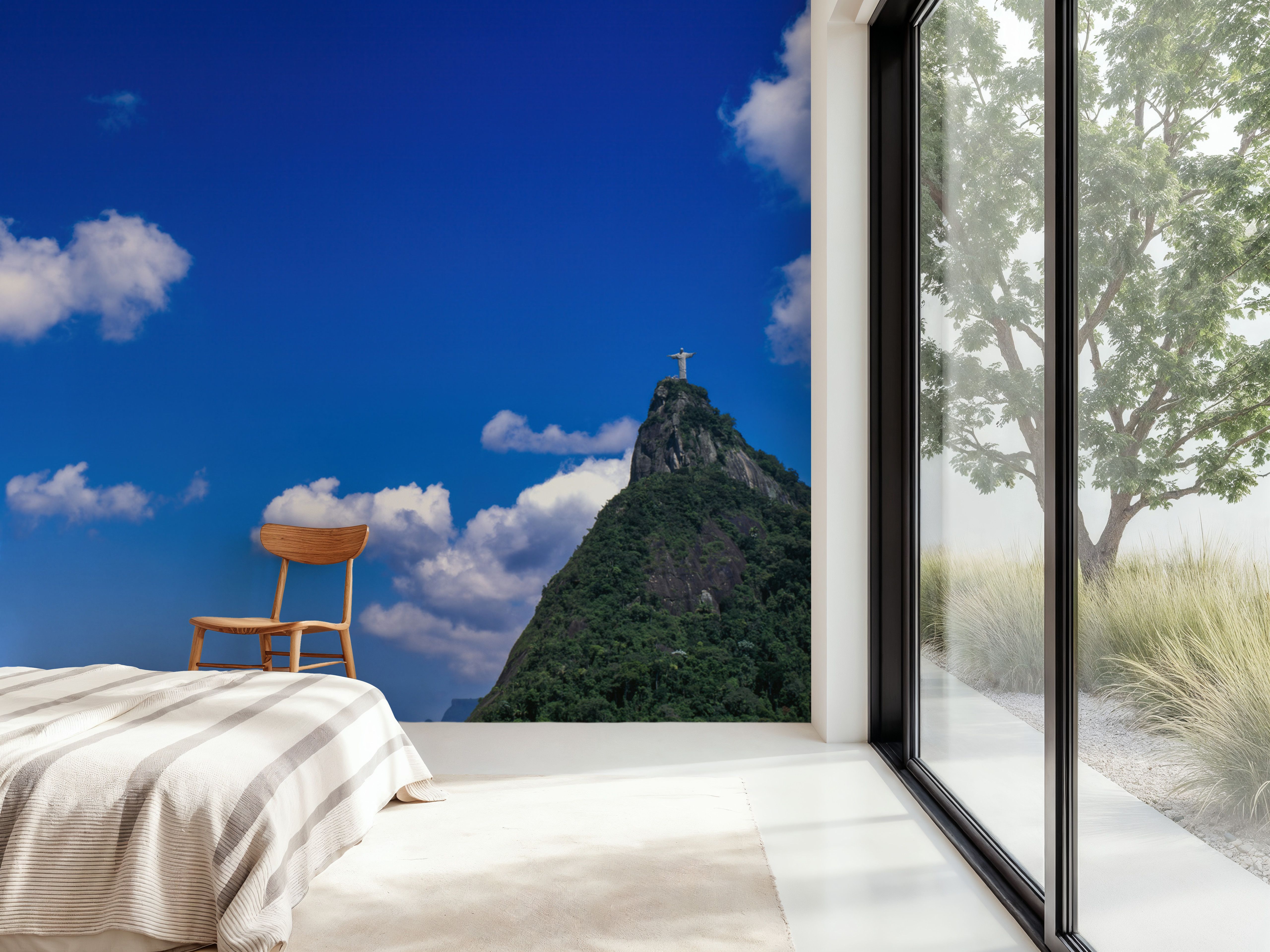 Corcovado Guardian