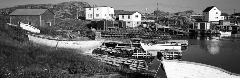 Newfoundland Harbour BW