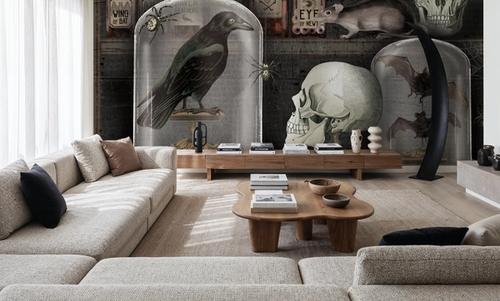 Apothecary Study