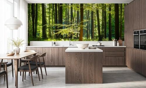 Deep Sunny Woods