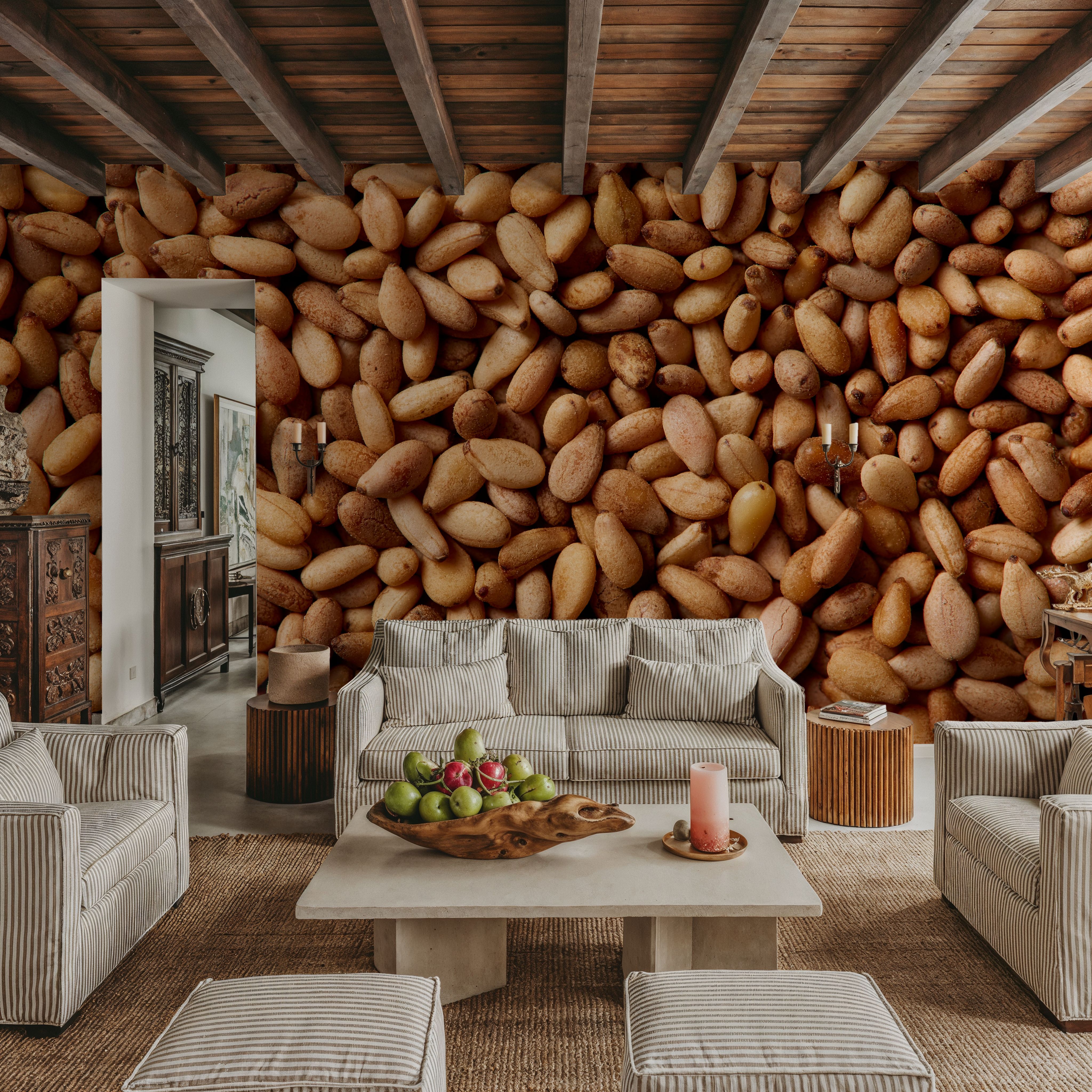 Pine Nut Harvest
