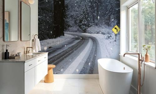 Winter Forest Journey