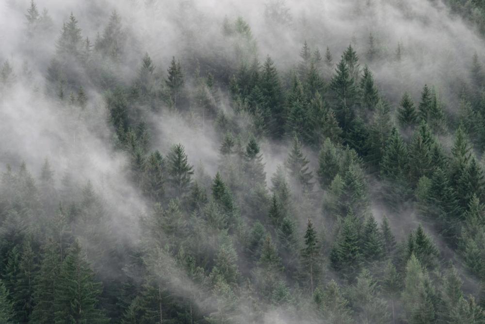 Misty Hill Side