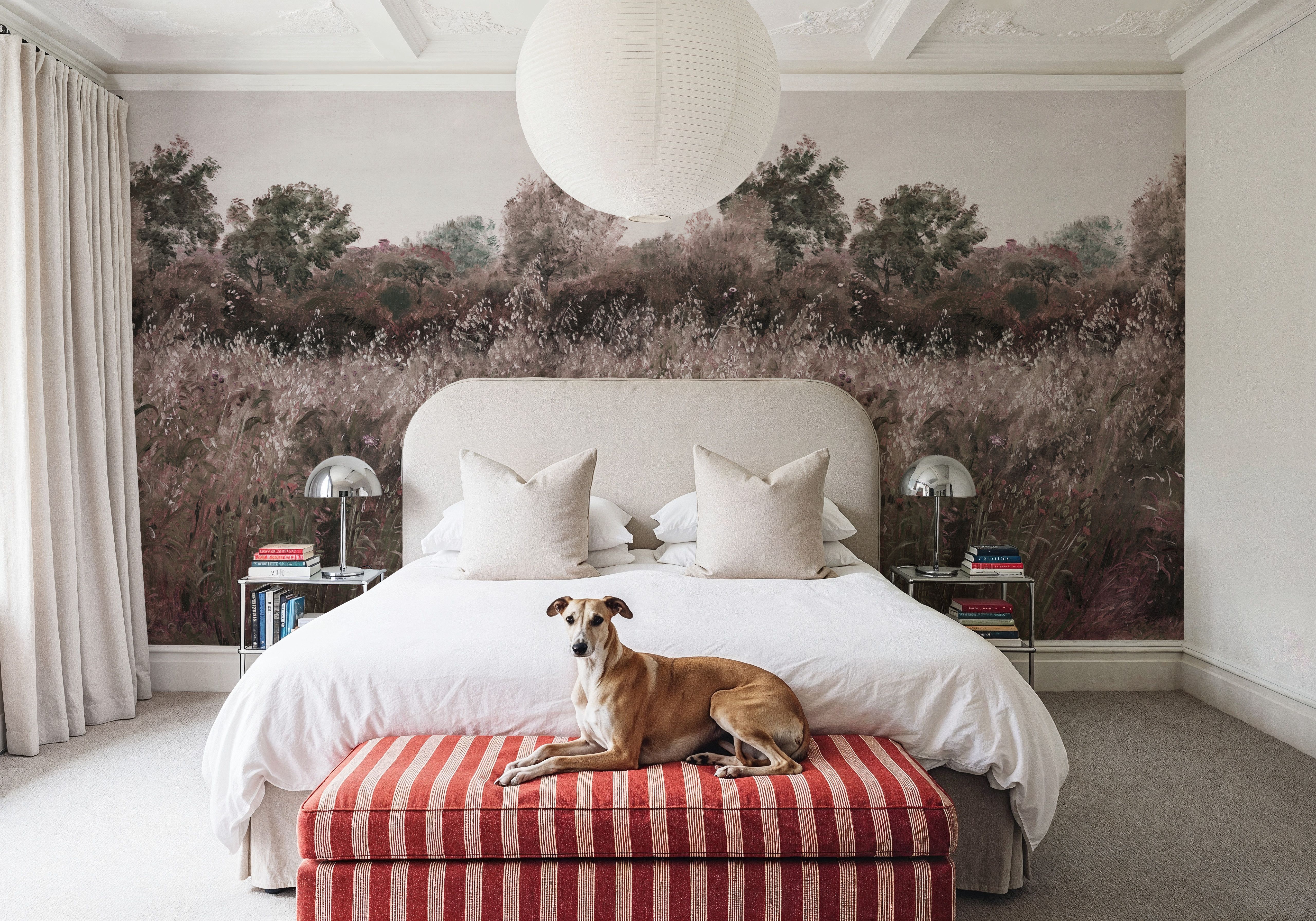 Meadow Whisper, Fall Red